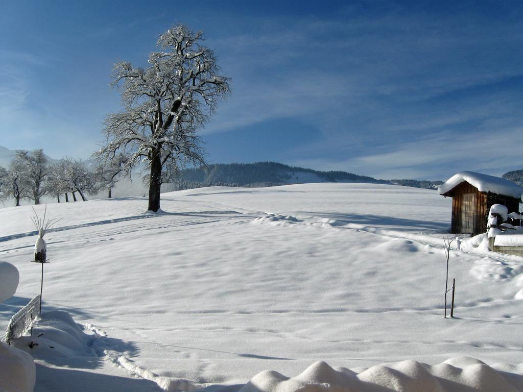 Вилла Schweizer Hof Шварценберг-им-Брегенцервальд Экстерьер фото